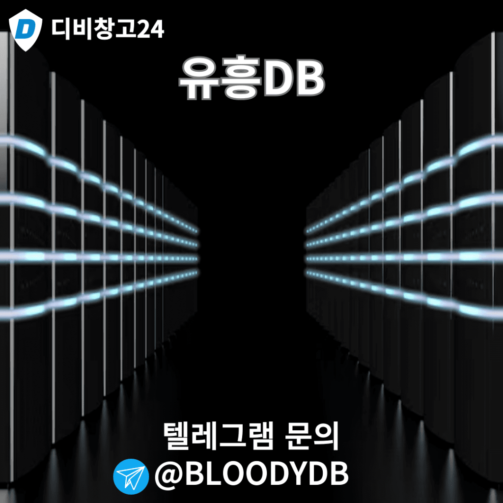 유흥디비